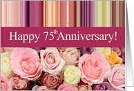 75th Wedding Anniversary Pastel Roses and Stripes card