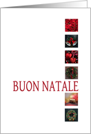 Italian Christmas Buon Natale Red Christmas Collage card