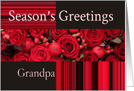 Grandpa - Season’s Greetings roses and winter berries card
