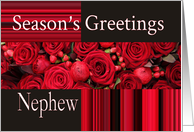 Nephew - Season’s Greetings roses and winter berries card