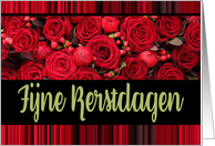 Dutch Christmas Fijne Kerstdagen Red Roses and Winter Berries card