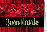 Buon Natale, Italian Christmas Red Roses and Winter Berries card