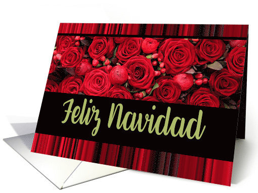 Feliz Navidad Spanish Christmas Red Roses and Winter Berries card