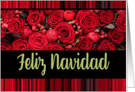 Feliz Navidad Spanish Christmas Red Roses and Winter Berries card