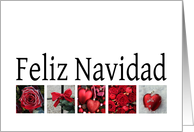 Feliz Navidad Spanish Christmas Red Winter Collage card