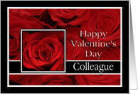 Colleague - Valentine’s Day Roses red, black and white card