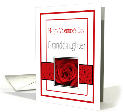 Granddaughter - Valentine's Day Roses red, black and white card
