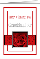 Granddaughter - Valentine’s Day Roses red, black and white card