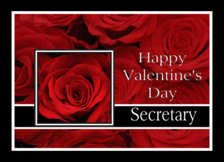 Secretary - Valentine's Day Roses red, black and white