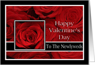 To the Newlyweds - Valentine’s Day Roses red, black and white card