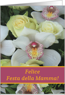 Italian Festa della Mamma Happy Mother’s Day Card - White Orchid card