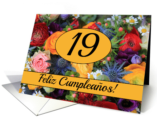 19th Spanish Happy Birthday Card/Feliz cumpleaos -... (1228972)