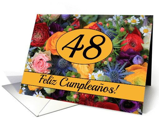 48th Spanish Happy Birthday Card/Feliz Cumpleaos -... (1230786)