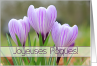 French Joyeuses Pâques Happy Easter Purple Crocuses card