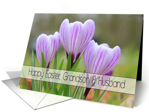 Grandson & Husband - Happy Easter Purple crocuses card (1251652)