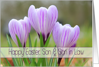 son & son in law - Happy Easter Purple crocuses card