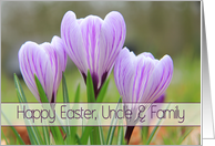 Uncle & Family - Happy Easter Purple crocuses card