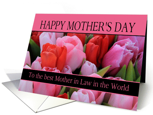 Best Mother in Law in the world Mixed pink tulips Mother's Day card