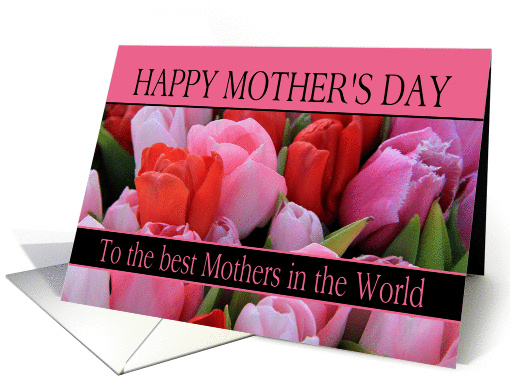 Best Mothers in the world Mixed pink tulips Mother's Day card