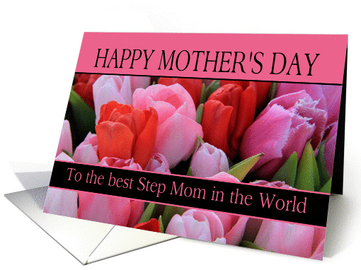 Best Step Mom in the world Mixed pink tulips Mother's Day card