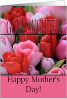 Goddaughter Mixed pink tulips Happy Mother’s Day card