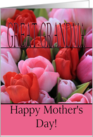 Great Grandma Mixed pink tulips Happy Mother’s Day card