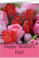 Mother in Law Mixed pink tulips Happy Mother’s Day card
