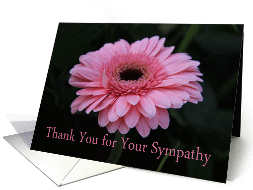 Thank You for Sympathy - Pink Gerbera card (1254862)