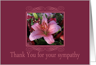 Thank You for Sympathy - Pink Lily card