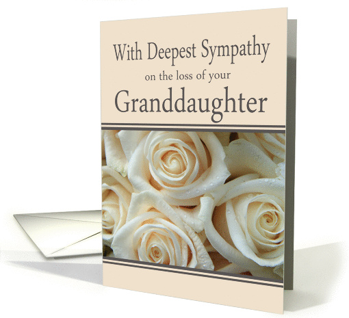 Granddaughter - With Deepest Sympathy, Pale Pink roses card (1263652)