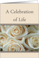 Celebration of Life, Pale Pink roses card