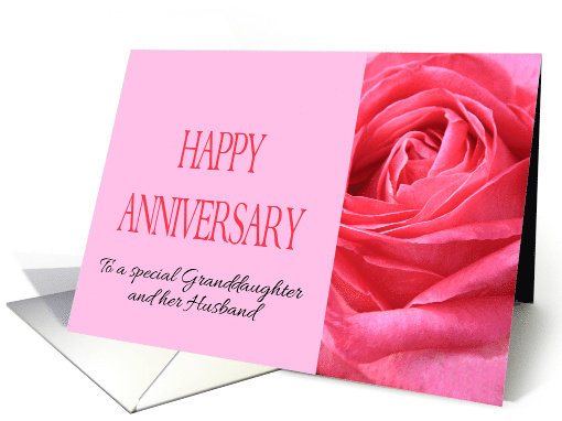 Granddaughter & Husband Wedding Anniversary Pink Rose Close Up card