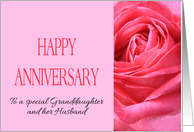 Granddaughter & Husband Wedding Anniversary Pink Rose Close Up card