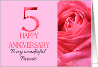 5th Anniversary to Parents Pink Rose Close Up card