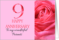 9th Anniversary to Parents Pink Rose Close Up card
