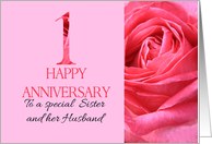 1st Anniversary to Sister and Husband Pink Rose Close Up card