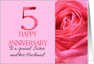 5th Anniversary to Sister and Husband Pink Rose Close Up card