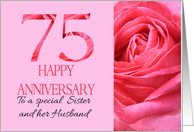 75th Anniversary to Sister and Husband Pink Rose Close Up card