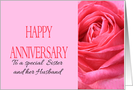 Anniversary to Sister and Husband Pink Rose Close Up card