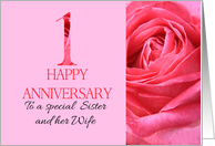 1st Anniversary to Sister and Wife Pink Rose Close Up card