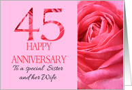 45th Anniversary to Sister and Wife Pink Rose Close Up card