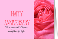 Anniversary to Sister and Wife Pink Rose Close Up card
