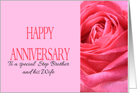 Anniversary to Step Brother and Wife Pink Rose Close Up card