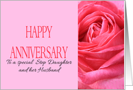 Anniversary to Step Daughter and Husband Pink Rose Close Up card