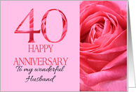 40th Anniversary to Husband Pink Rose Close Up card