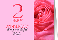 2nd Anniversary to Wife Pink Rose Close Up card