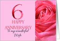 6th Anniversary to Wife Pink Rose Close Up card