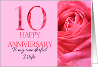 10th Anniversary to Wife Pink Rose Close Up card