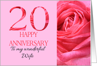 20th Anniversary to Wife Pink Rose Close Up card