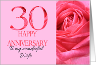 30th Anniversary to Wife Pink Rose Close Up card